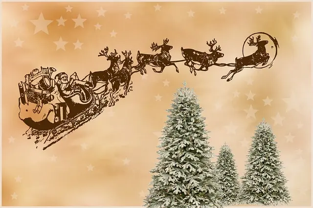 Keeping your Spine Happy this Holiday Season