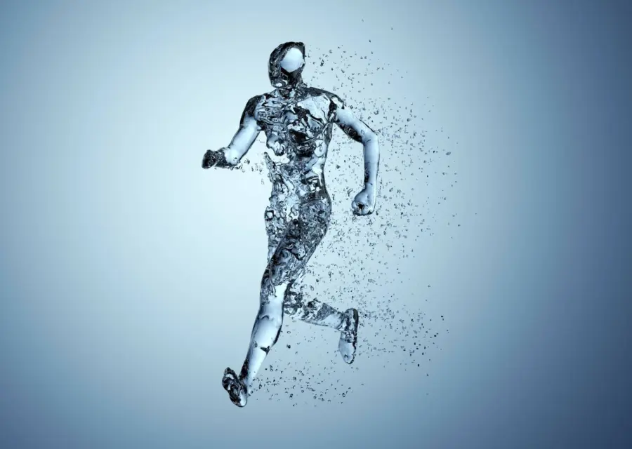 Hydration and Spinal Health