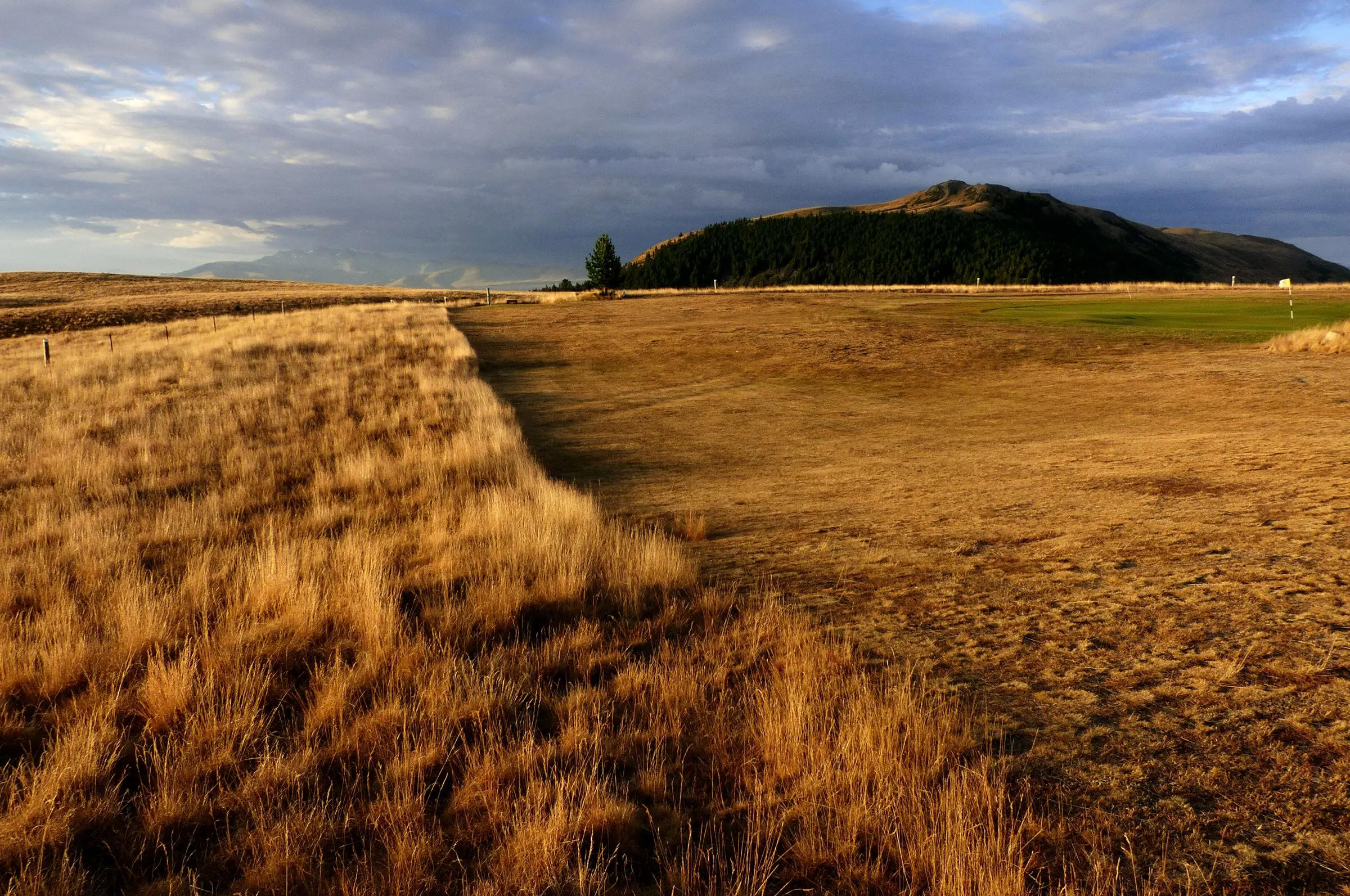 Golden links grass at the edge of a fairway under a moody sky